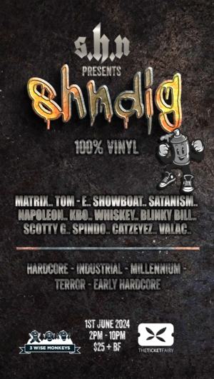 The Shndig 100% Vinyl