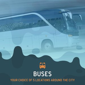 Bay Dreams Nelson 2019 - Bus Tickets